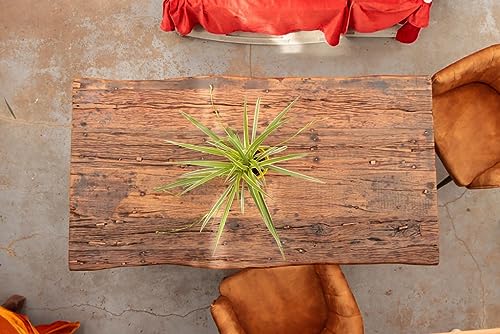 SAM B-Ware Esstisch 180x90 cm Beverly, recyceltes Altholz, massiver Esszimmertisch mit Rough Wood Platte 25 mm, Holztisch mit U-Metallgestell Schwarz, Baumkantentisch im Vintage-Look